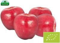 Jabłka Red Jonaprince BIO 1 kg #