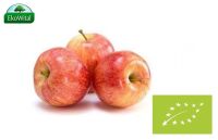 Jabłko BIO IMPORT 1 kg